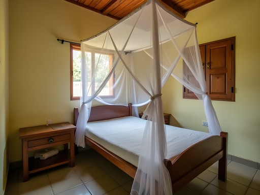 Staying in Dolisie: Authentic Congolese Hospitality from Guesthouses to Eco-Lodges