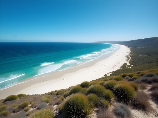Natural coastal landscape of Swanbourne Beach with native dune vegetation