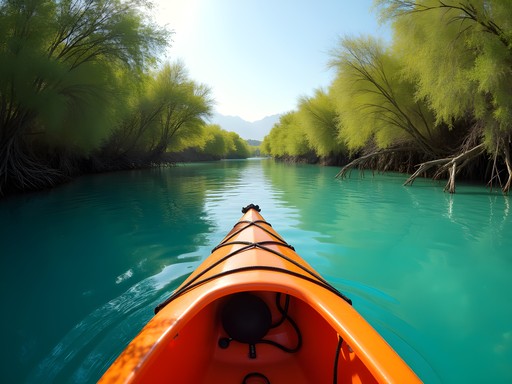 Kayaking through mangrove forests in Ras Al Khaimah with mountains in background