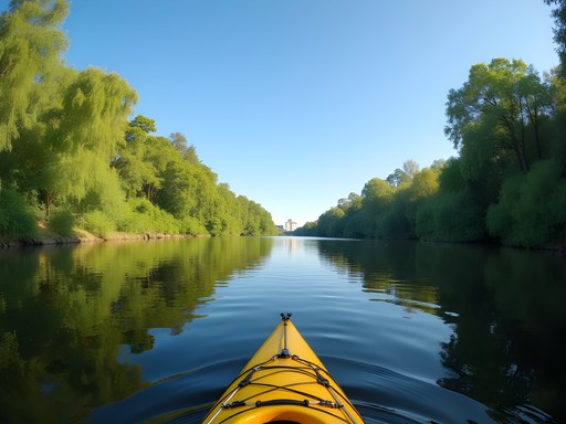 Sacramento's Hidden Waterways: Kayaking Adventures in California's Capital
