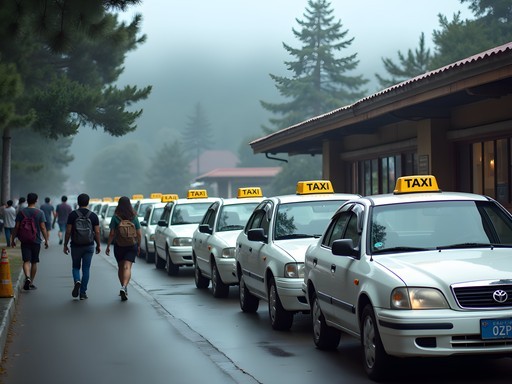 White taxis lined up near Burnham Park in Baguio City with pine trees in background
