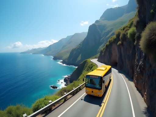 Contrasting Commutes: Getting Around in Madeira vs Phoenix - A Traveler's Guide